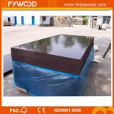 Shuttering Plywood for Concrete and Buildings Project (FYJ1509)