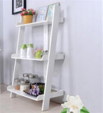 Plants and Flowers, Bonsai, Miniascape Store Wall Display Rack