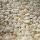 Hulled Sesame Seed, White Sesame Seeds