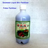 Seaweed Liquid Bio-Fertilizer Foliar Fertilizer