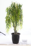 Artificial Willow Tree Artificial Plant/Artificial Plant Bonsai 0044