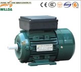 Home Electric Motor