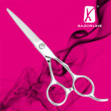 Razorline Sk10 Salon Professional Hair Cutting Scissors