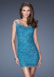 Blue Short Lace Cocktail Party Prom Bandage Evening Dress