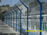 PVC Coated Fence/Road Fence/Fence Netting/Welded Wire Mesh Fence/Fence Netting