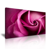 Rose Petal Still Life Canvas Painting for Wall Decor