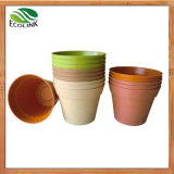 Biodegradable House Flower Plant Pot