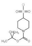 98% Min 4-Chlorosulfonylpiperidine-1-Carboxylic Acid Tert-Butyl Ester Powder 782501-25-1
