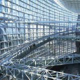 Professional Steel Structure Building with SGS Standard