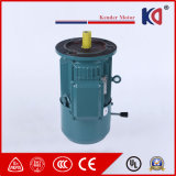 380V50Hz Embr AC Electric Braking Motor with Three Phase