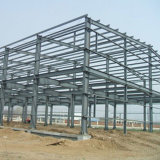 Hot Rolled Industrial Steel Metal Structure (WSDSS017)