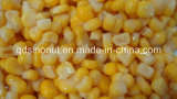 Hot Sales Season Canned Sweet Corn (HACCP, ISO, BRC, FDA)
