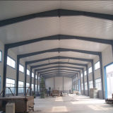 New Steel Structure Building (WSDSS404)
