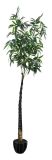 Artificial Plants and Flowers of Noble Bamboo 250cm Gu-Bj-829-520b