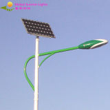 Solar Street Lighting Projects for Village Lighting