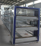 China Agricultural Machinery H Type Broiler Chicken Cage Poutlry Equipment