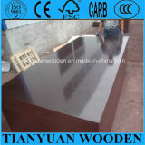 Waterproof Shuttering Black/Brown Film Faced Plywood with Logo for Construction