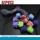 Plastic Milk Teeth Box (Baby Teeth Box) Primary Teeth Box/ Dental Material