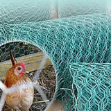 PVC Coated Chicken Wire Used to Fence Poultry Livestock