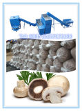 Single Storehouse Automatic Bagging Mixing Production Line: Mushroom Growing Bag Filling Machine