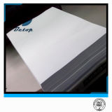 A4 Paper/ A4 Copy Paper 80GSM/ Letter Size Paper