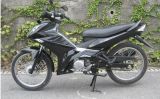Cub/Motorcycle/Motobike (SP100-CG2)