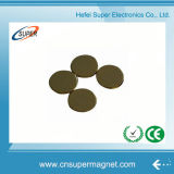 High Quality Permanent Rare Earth Disc Magnet for Motor