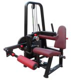 Fitness Equipment/Body Building Equipment/ Gym Equipment-Leg Curl (SM12)