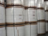 High Grade Food Packing Paper with Single PE Coated