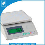 Electronic Weighing and Counting Scale (A-808A)