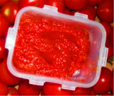 Aseptic Bag Cold Break Tomato Paste 36-38%