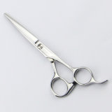 Salon Hair Scissors (002-S)