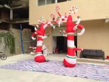 New Design Inflatable Christmas Flower Tree for Christmas Celebration