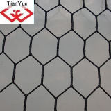 Hot Dipped Galvanized Hexagonal Wire Mesh (TYC-0050)