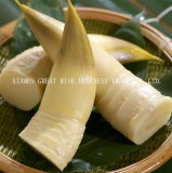 Good Character Canned Bamboo Shoot Whole for Cooking