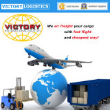 Professional Air Cargo From Shenzhen, Guangzhou, Hongkong, Shanghai, Ningbo