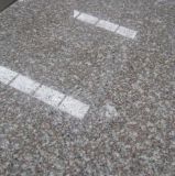G664 Bainbrook Brown Granite Stone Tile Products Tile, Slab, Countertop, Cobble Stone, Cube Stone