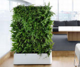 High Quality Artificial Plants and Flowers of Green Wall Gu-Wall7067343268