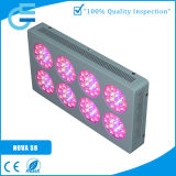 LED Grow Light for Flower, Tomato, Potato, Vegetable or Other Plant in Greenhouse