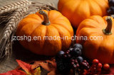 High Quality Fresh Pumpkin From China