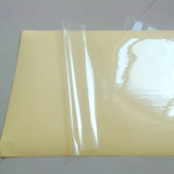 Self Adhesive Transparent Pet Paper (WBL-G225)