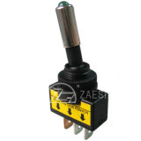 Automobile Switch (ASW-15D)