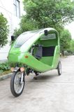 China Manufacturer Sightseeing Vehicle Electric Tricycle