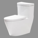 Toilet (P-2281)