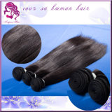 2014 Made in China The Best Silk Straight Hair Weave Top Quality Cheap Price Brazilian Human Haie Weft