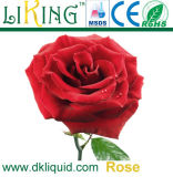 Plant Concentrated Rose Flower Essential Oil with 1kg/10kg/20kg Bottle
