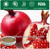 Pomegranate Seed Extract