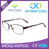 Hot Sales Eyebrow Metal Optical Frame Designer Eyewear (JC6616)