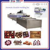 Chocolate Moulding Machine for Dsale