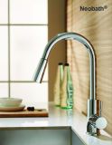 Lead Free Pull out Basin Mixer Kitchen Faucet (F03A)
